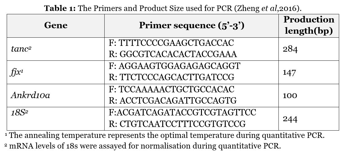 The Primers and Product Size used for PCR