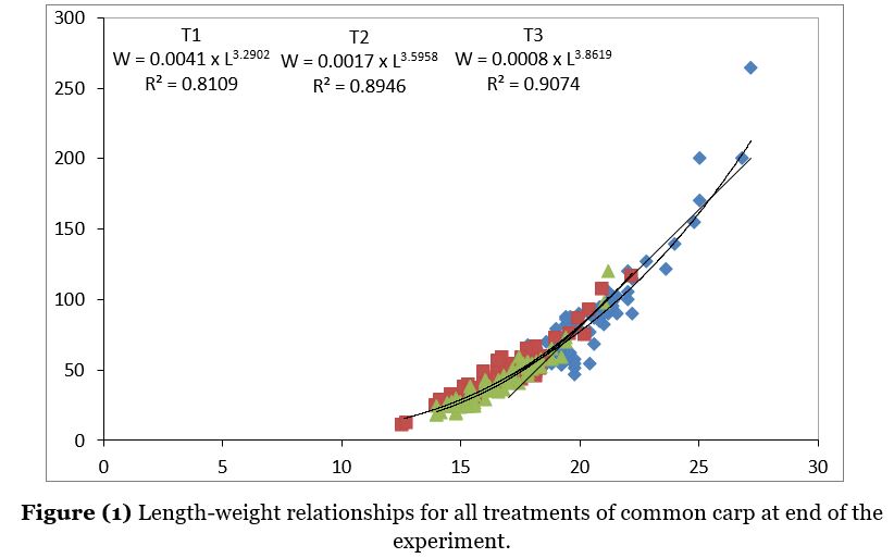 Length-weight relationships for all treatments of common carp at end of the experiment