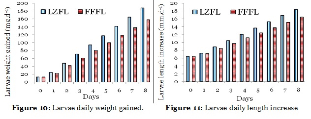 Figure 10: Larvae daily weight gained., Figure 11: Larvae daily length increase